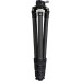 Vortex Radian Carbon Fiber Tripod with Leveling Head